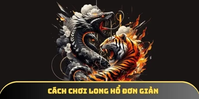 Cách chơi long hổ hiệu quả và dễ hiểu cho người mới