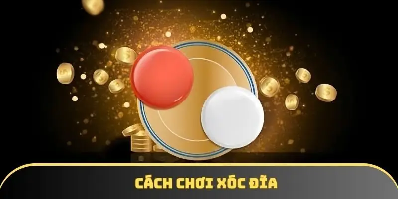 Cách chơi xóc đĩa KKWIN chỉ học trong 5 phút cho người mới