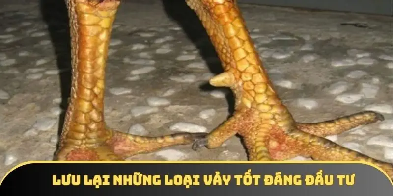 Lưu lại những loại vảy tốt đáng đầu tư