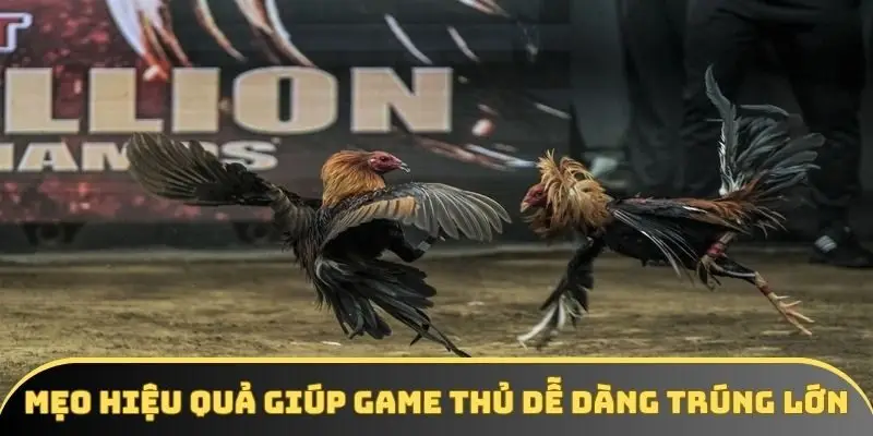 Mẹo hiệu quả giúp game thủ dễ dàng trúng lớn