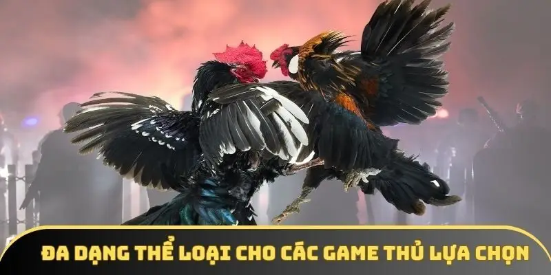 Đa dạng thể loại cho các game thủ lựa chọn