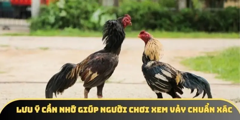Lưu ý cần nhớ giúp người chơi xem vảy chuẩn xác